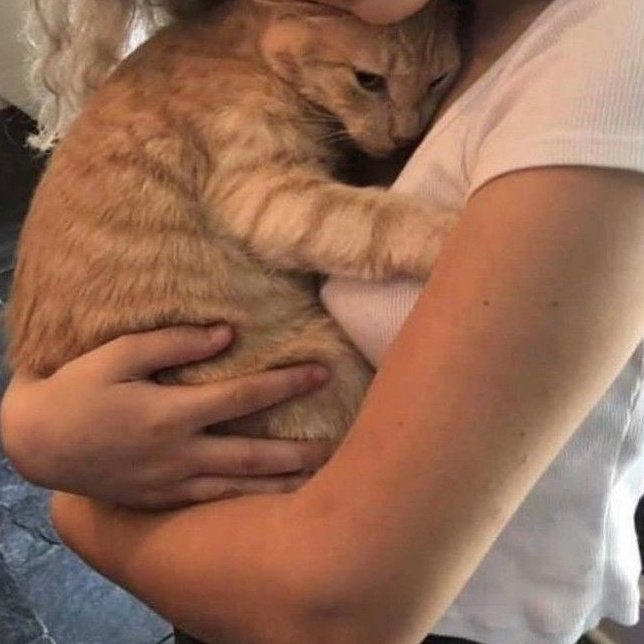 ᅠᅠᅠᅠᅠᅠᅠ
· ᴛʜᴇ sᴋʏ ɪs ᴄᴀʟʟɪɴɢ ᴍᴇ... ᴏʀ ɪs ɪᴛ ɴᴏᴛ ᴛʜᴇ sᴋʏ? ·

и так.. меня зовут Кэрол Дэнверс и в будущем я поступлю в военно-воздушную службу. сейчас мои дела.. как видите не супер,но это просто пока,я все еще учусь
ᅠᅠᅠᅠᅠᅠᅠ