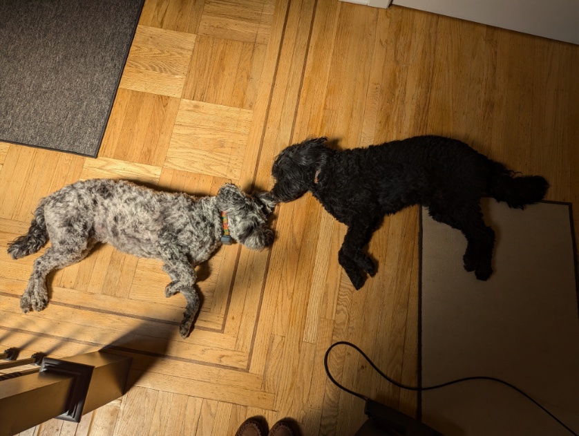 Tim Monks (@itsmonktastic) on Twitter photo 