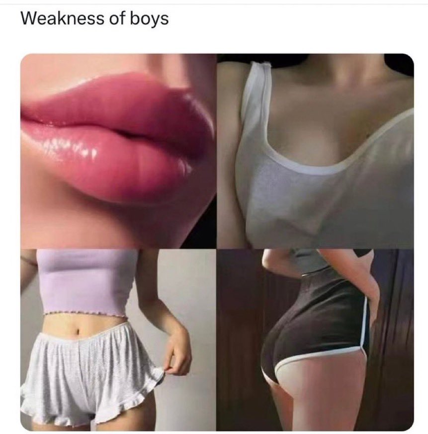 PookiesParadise's tweet image. ㅤ