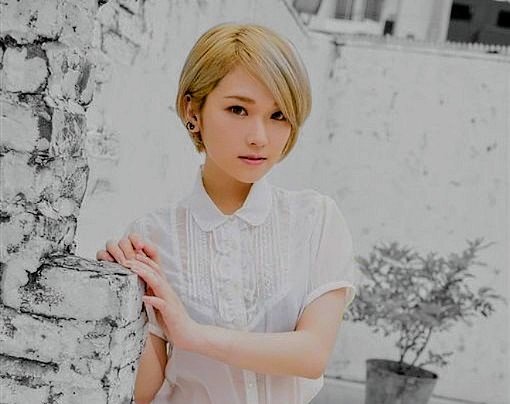 電影少女LD VIDEO GIRL 希少品 週刊ジャンプ 林原めぐみ 酒井法子 電影少女LD VIDEO GIRL 希少品 週刊ジャンプ 林原めぐみ 酒井