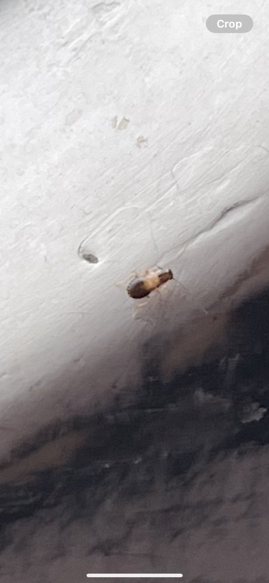 PraGa🚀 tweet media