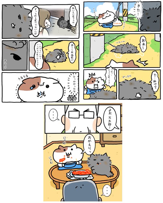 2024年08月18日のツイート | もちにゃみ さんのマンガ | ツイコミ(仮)