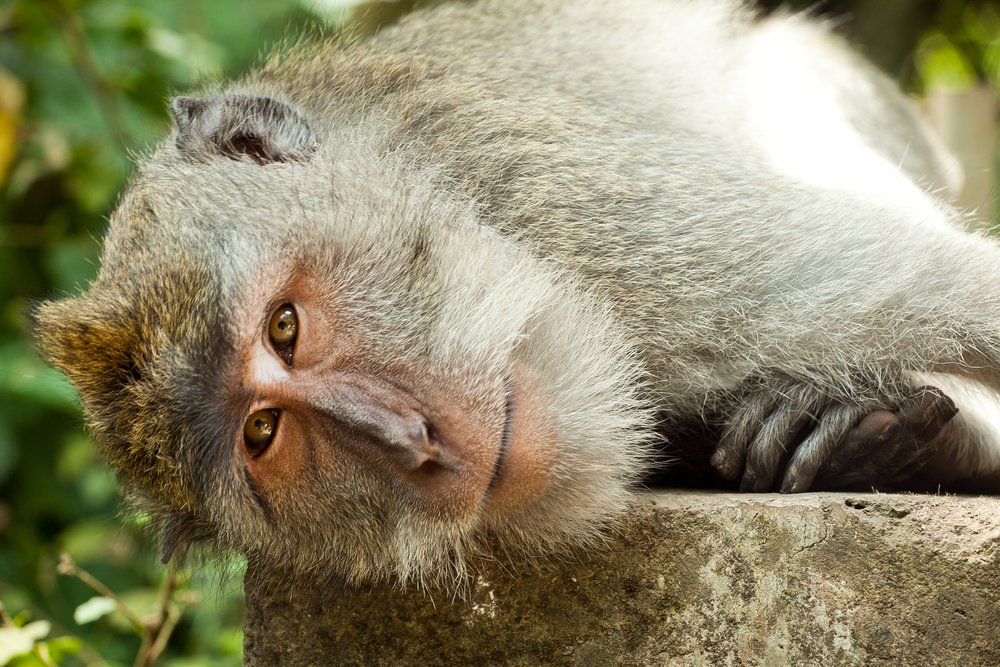 My newest blog: Are You Bored, Tired, or Burnt Out? To read go to:  carolcooke.com.au/blog/are-you-b…