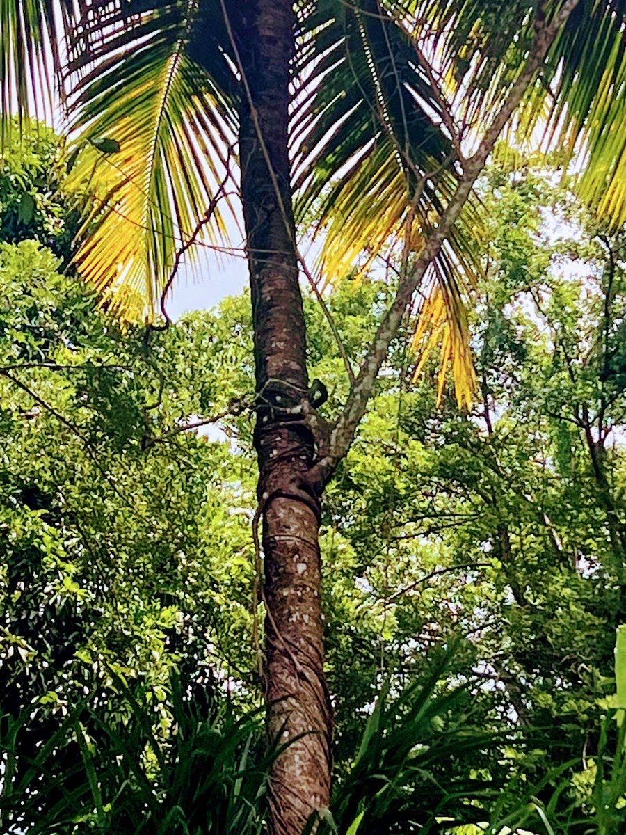 Nature 🤗