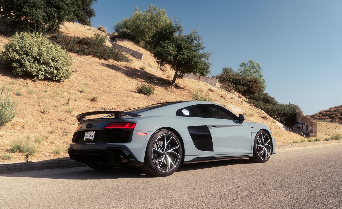 𝚎𝚕𝚒 tweet media