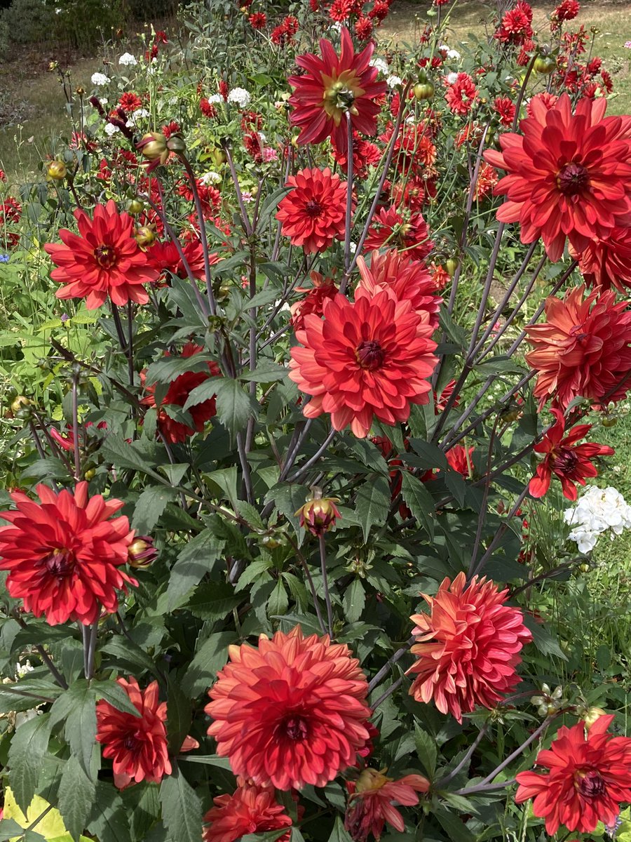 MimiMichelle9's tweet image. #Marc #Inconsolable 💔🙏💔🙏💔🙏💔🙏💔🙏💔🙏💔🙏💔🙏💔🙏💔🙏💔💔💔💔💔💔💔💔💔💔💔💔💔💔💔💔💔💔💔💔💔💔💔💔 💔💔💔💔💔