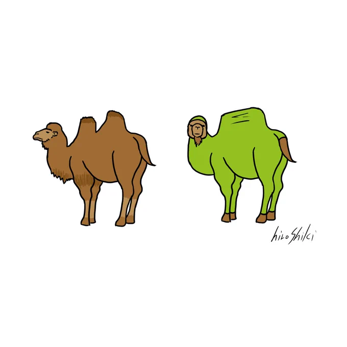 フタコブラクダが全身タイツを着るとヒトコブラクダになります#ラクダ#イラスト#illustration 