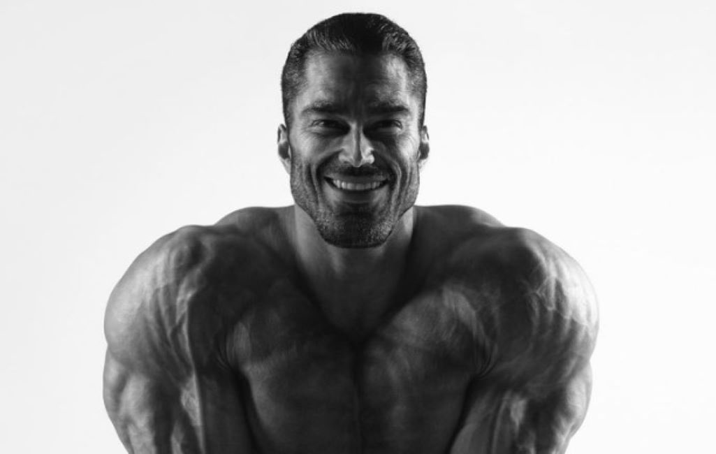 $GIGA is the perfect crypto cult for so many reasons
- Not weird or against morals and religion 
- Actually affects your self improvement 
- Organic af
- Right wing
- The ticker

Its not about the man. Its about the mentality.
Its simply the Gigachad meme on Solana