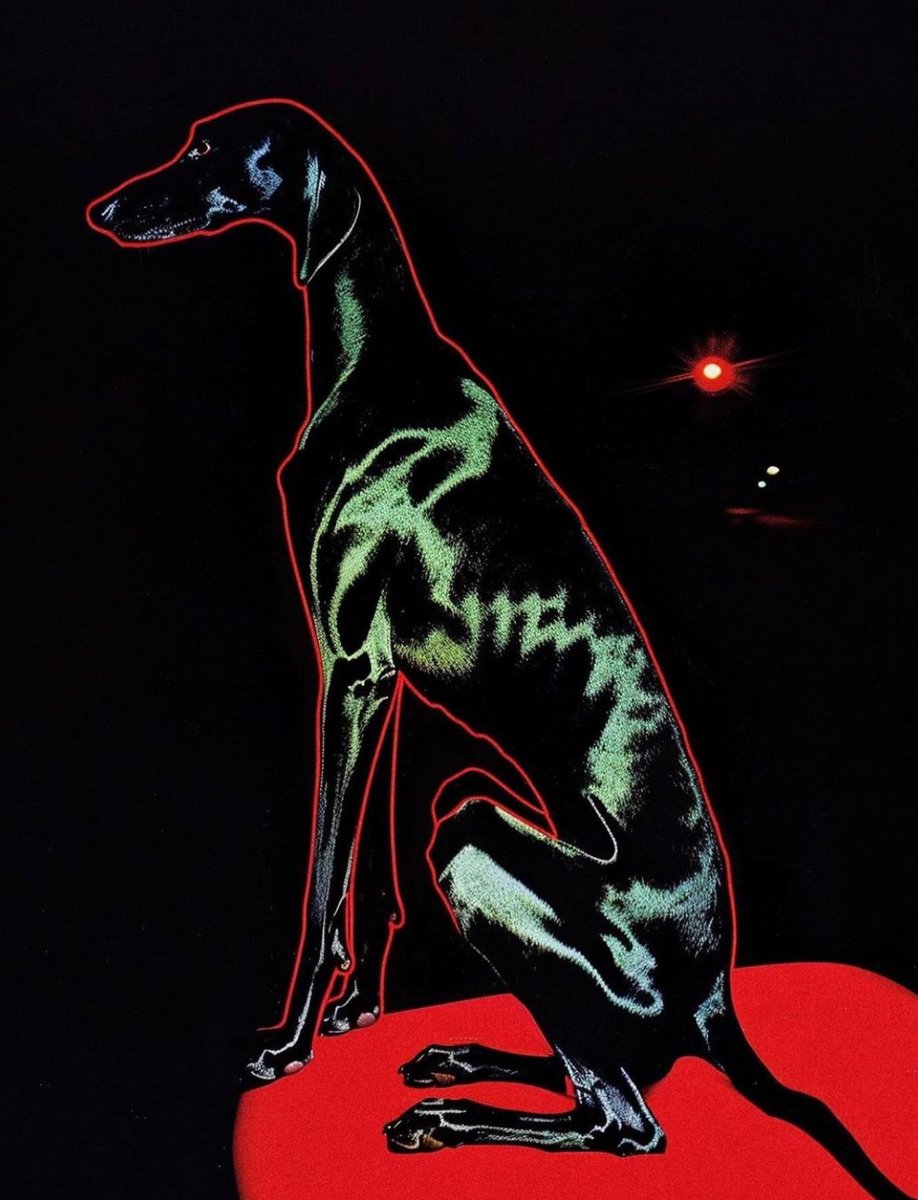 Stephan Vasement (@stephanvasement) on Twitter photo 