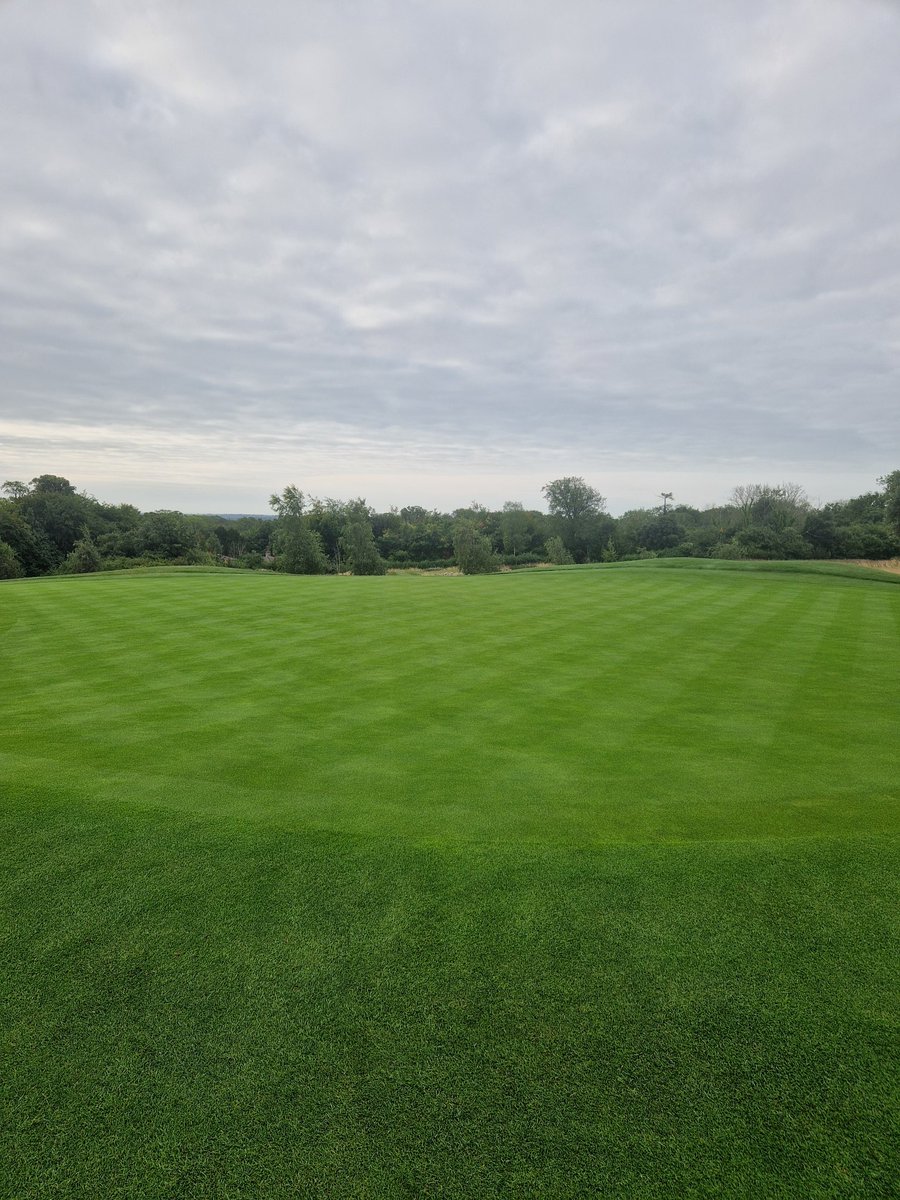 Day 2 of the club champs <a href="/goodwood_golf/">Golf At Goodwood</a> greens running at 10.2 on the stimp, should be a good day good luck to all competitors #thedownscourse #golf #greenkeeping #sussex
