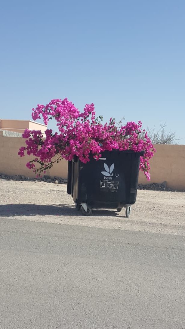 يونس الرسيمي الشمري tweet media