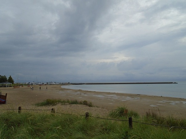 joshuaeeriksen's tweet photo. At the beach, using Tabata sprint protocol being 6 all out very hard intensity 250 yd pier to pier backstroke swims with 3 min rest periods in between each, can also be used for jump rope work, spar and jab boxing, or repeated with other forms of cardio too. #Revelation22:1 #domorefor2024 #fattofitnoquit #fightyoflight #fababs #icanucantoo #generationjoshua

@ https://t.co/kiyGs0wubt