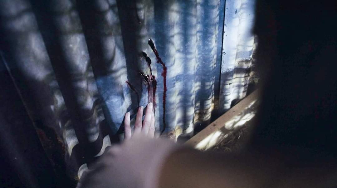 PerthHorrorFans tweet picture