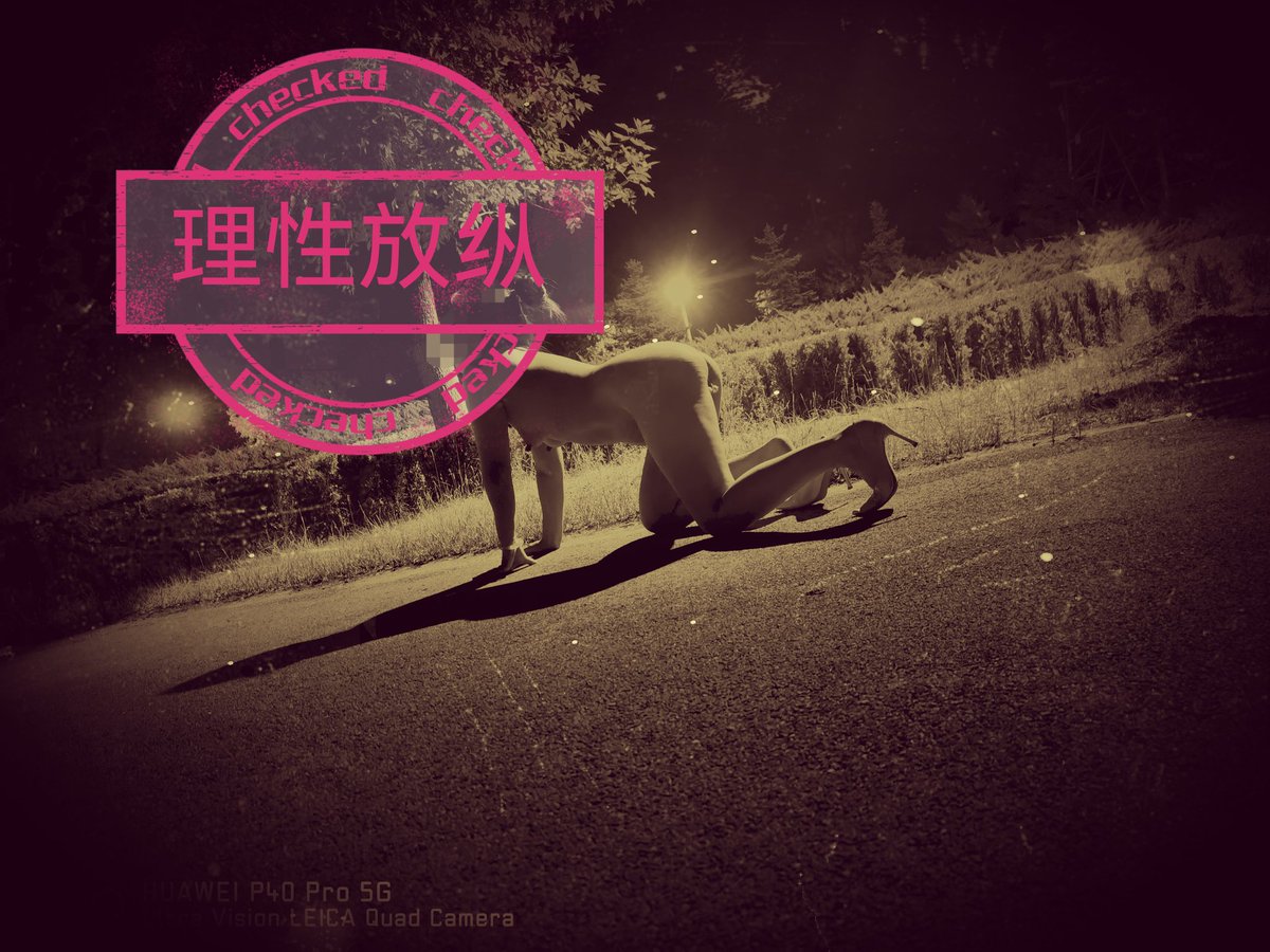 理性放纵 (@lixinggogo) / Posts / X