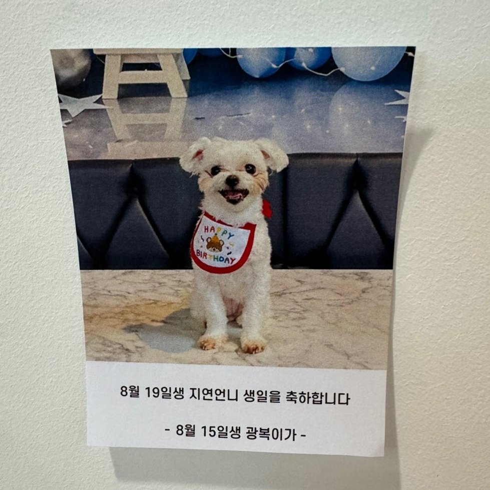 지연언니 생일축하해요🩵🏖

#나의_모든_사계절
#All_My_Four_Seajiyeon
#김지연 #Kimjiyeon #보나 #BONA