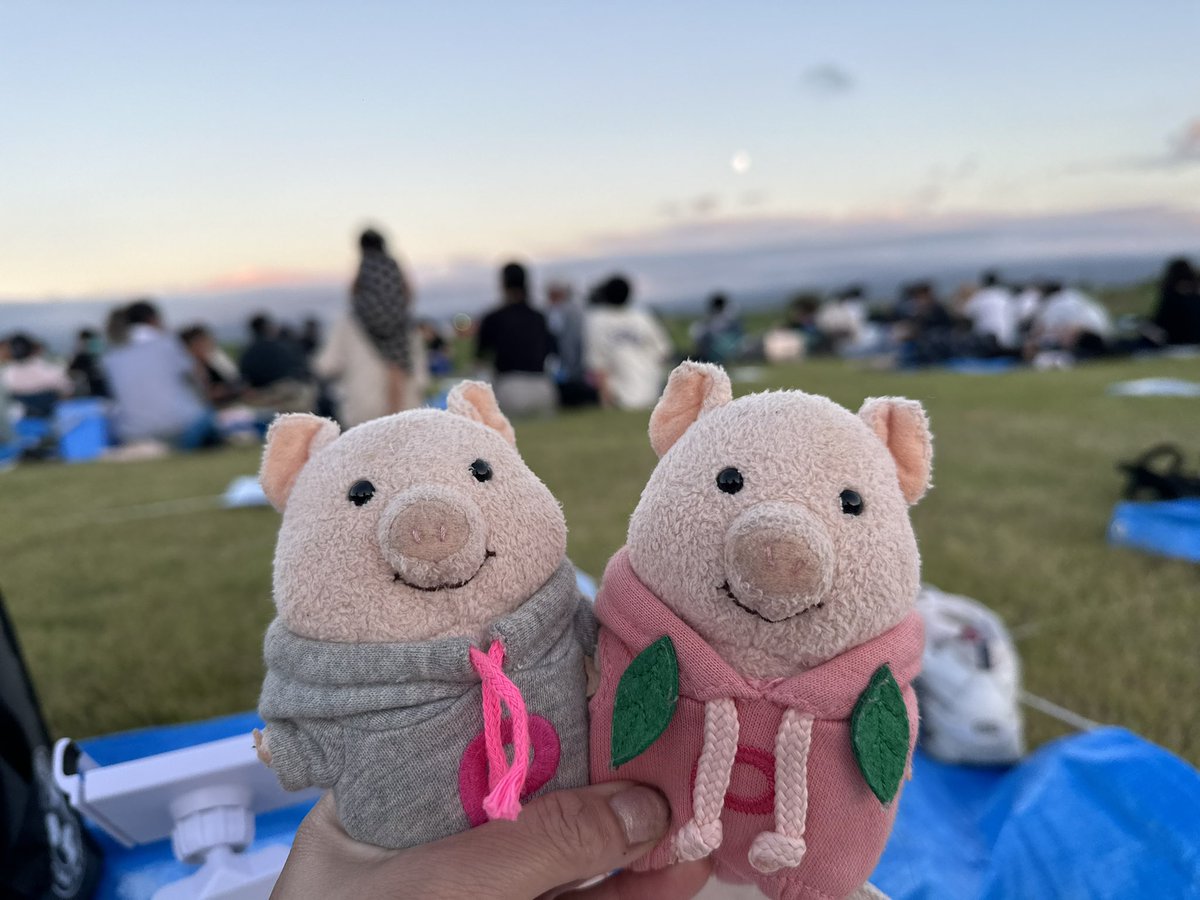 ayachin252525's tweet photo. 昨日の赤川花火大会から山形の駅の方までのホテルでどこでかわからないのですが、大事にしているぶたのぬいぐるみ落としてしまいました。

すごい大切な物です。
拡散希望お願い致します🙇‍♀️
左のねずみ色の服のぶたさんです。

 #赤川花火大会
 #山形
 #拡散希望
 #RTで拡散してね https://t.co/ZOEVeaenqv