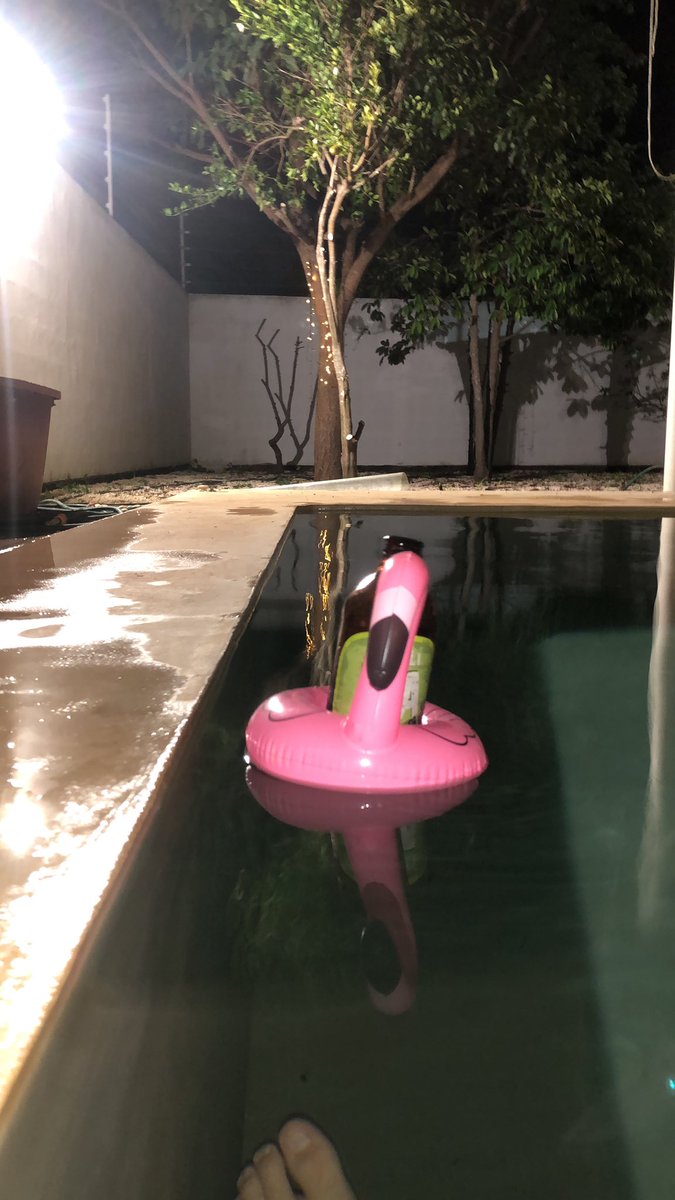 jorgecce's tweet photo. Observando la migración de los flamingos, los envidiosos dirán que no es Sisal o Celestún …😅 https://t.co/oTa9YAqXi1