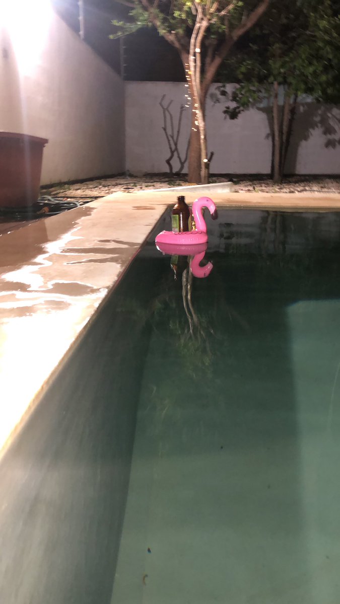 jorgecce's tweet photo. Observando la migración de los flamingos, los envidiosos dirán que no es Sisal o Celestún …😅 https://t.co/oTa9YAqXi1