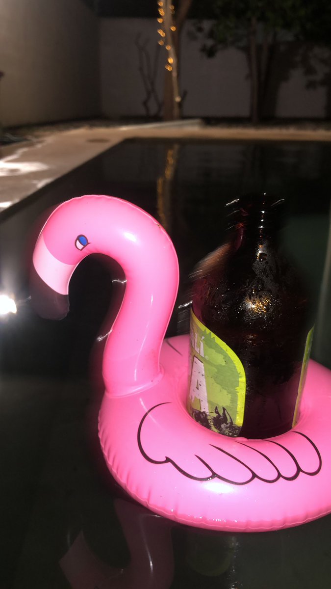 jorgecce's tweet photo. Observando la migración de los flamingos, los envidiosos dirán que no es Sisal o Celestún …😅 https://t.co/oTa9YAqXi1
