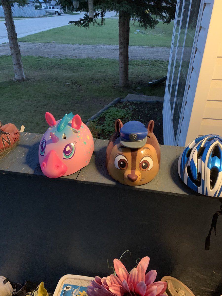 I think my grand kids have arrived, just a hunch🤗