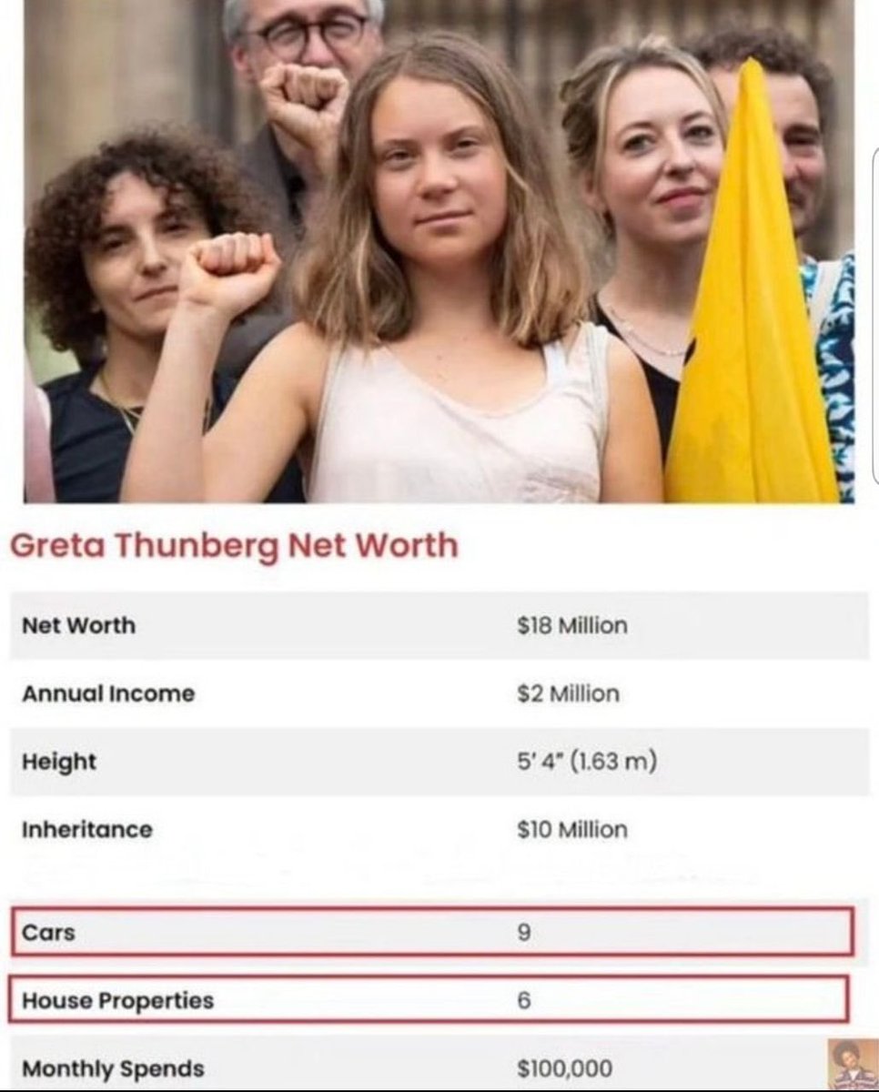 MickaelLaffont's tweet photo. #Escrologie 

#gretathunberg aurait 9 voitures et 6 maisons sans compter son salaire (payé par qui?) et son compte en banque en millions € https://t.co/jx5HpV4Btn