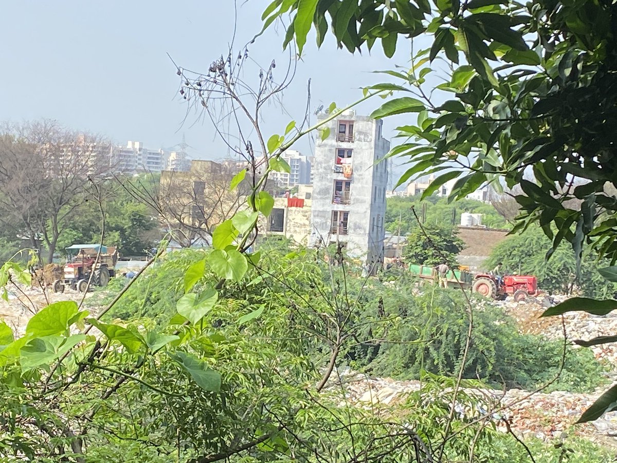 RahulGupta_in's tweet photo. 9:59 am 18th aug 2024. Saraswati Kunj gurgaon.residential areas.atleast 10 tractors in the morning till now. The dumping is back. In a big way.@MunCorpGurugram @CPCB_OFFICIAL @VishakhaKaulTOI @gurgaon_live @diprogurugram1 @AnilKhera11 @anilanita1950 @DC_Gurugram https://t.co/vvuy6jB0pm