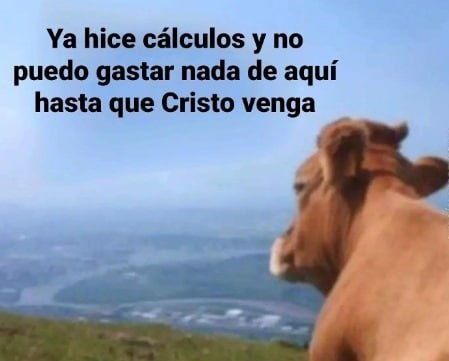 Modelofatness's tweet image. 