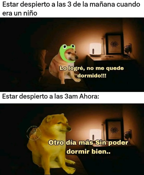 nacional_memes's tweet photo. 🐶 https://t.co/U3VzOLDZfm
