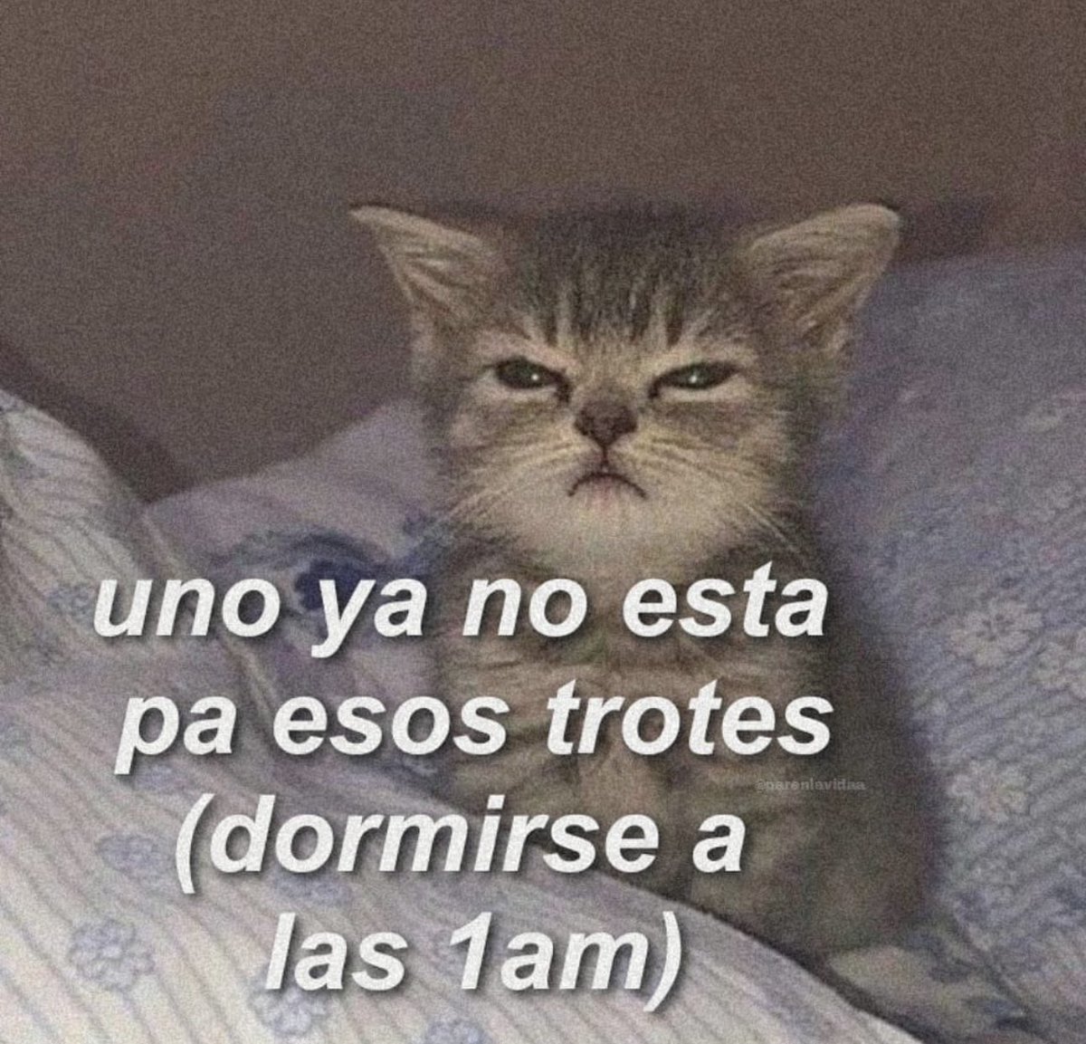soyMargarlto's tweet photo. Ya no aguanto https://t.co/5kUFlRUYjH