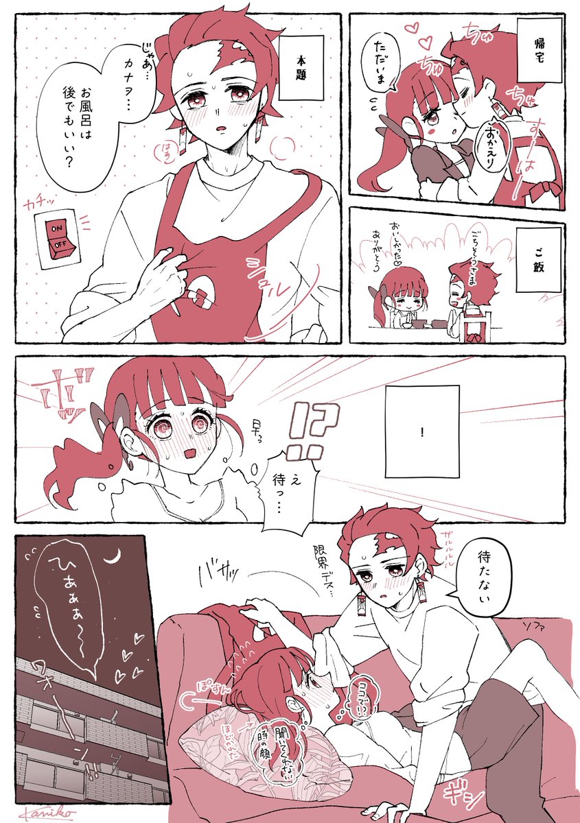 その後・主夫+会社員の炭カナ大妄想 