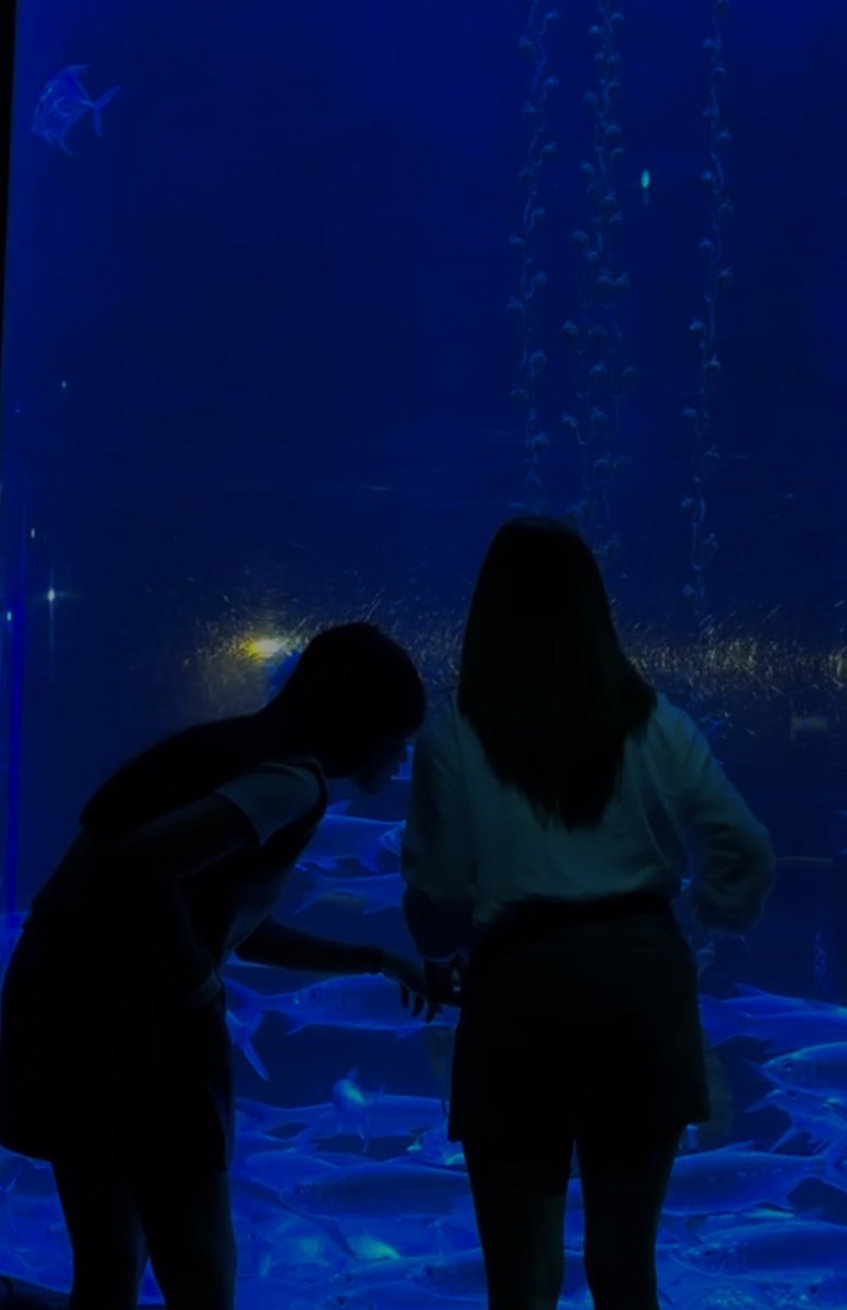 diamkalian's tweet photo. aquarium date sama tachi♥️

ubur ubur yang 2 pcs kasihan gapernah diajak foto, jadi aku pilih dia🙂‍↕️🩵 https://t.co/GTkPpBd4U7