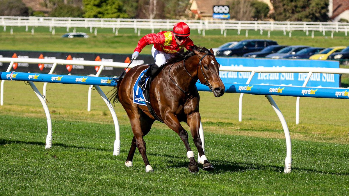 Another win for Beast Mode yesterday at Caulfield, taking his consistent record to 16:6-2-3 as he continues to rise through the Victorian sprinting ranks. 

The best is still ahead for the 5YO son of Better Than Ready after winning by just under 4L all the way.

Big thanks to the