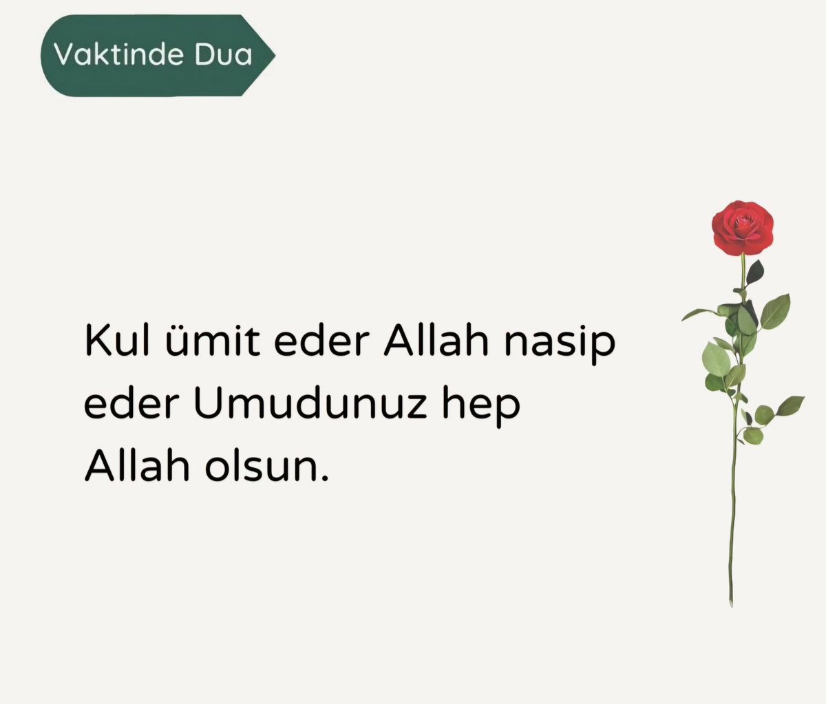 Ali Türkoğlu (@aliturkoglu44) on Twitter photo 
