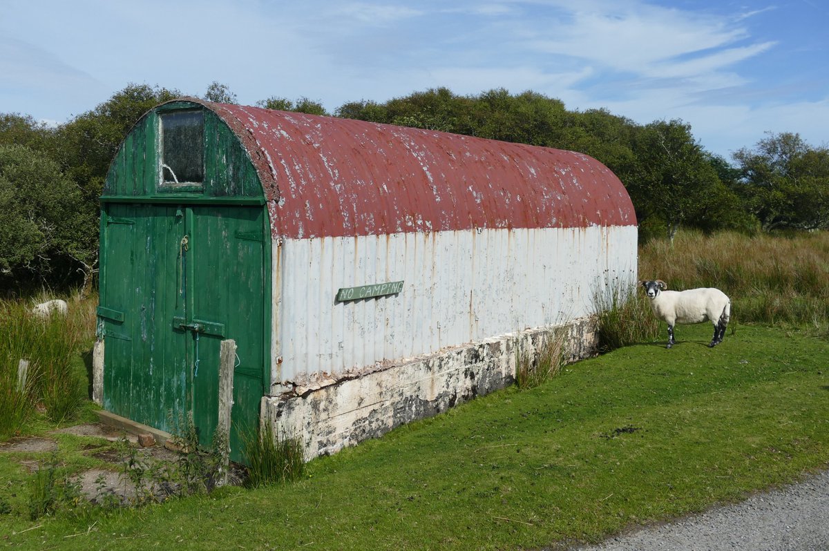 EdgeofMull tweet media