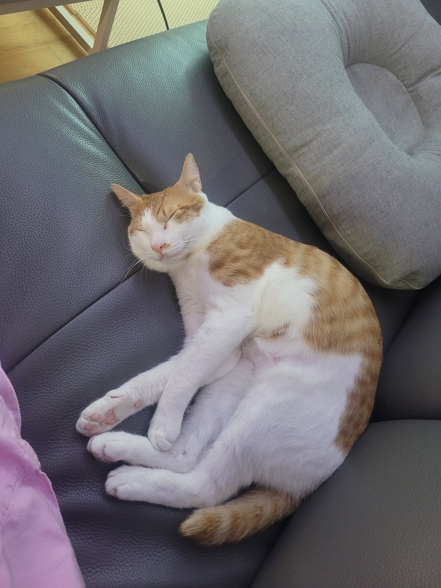 방식이 행복햐 웃으면서 자