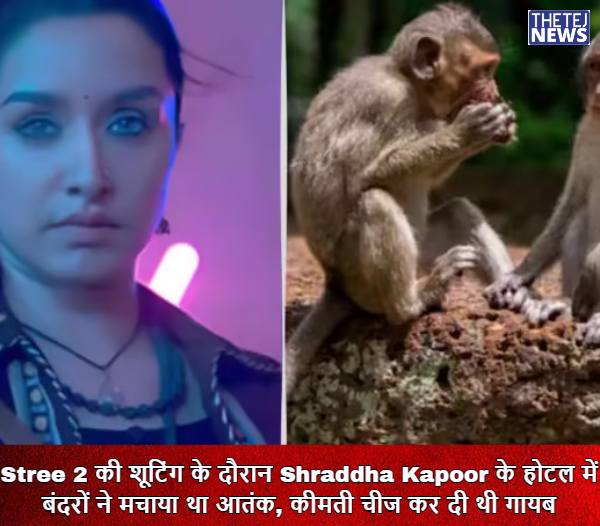 thetejnews's tweet image. Stree 2 की शूटिंग के दौरान Shraddha Kapoor के होटल में बंदरों ने मचाया था आतंक, कीमती चीज कर दी थी गायब। श्रद्धा कपूर की फिल्म स्त्री 2 को समीक्षकों और दर्शकों से बेहद प्यार मिल रहा है।
#Stree2collection #Stree2 #Stree2SarkateKaAatank #sarkatekaaatank #ShraddhaKapoor