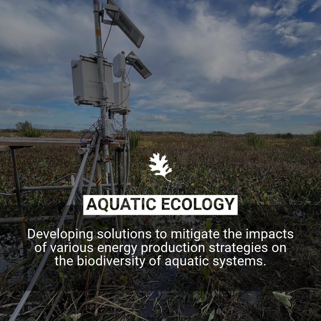 ORNL Biology and Environment (@ornlbio_env) on Twitter photo .<a href="/ORNL/">Oak Ridge Lab</a> scientists study aquatic ecosystems and their interactions within watersheds to track changes, assess impacts, and develop strategies that support clean water, energy generation, and the environment. #NationalScienceWeek .<a href="/ORNL/">Oak Ridge Lab</a> scientists study aquatic ecosystems and their interactions within watersheds to track changes, assess impacts, and develop strategies that support clean water, energy generation, and the environment. #NationalScienceWeek