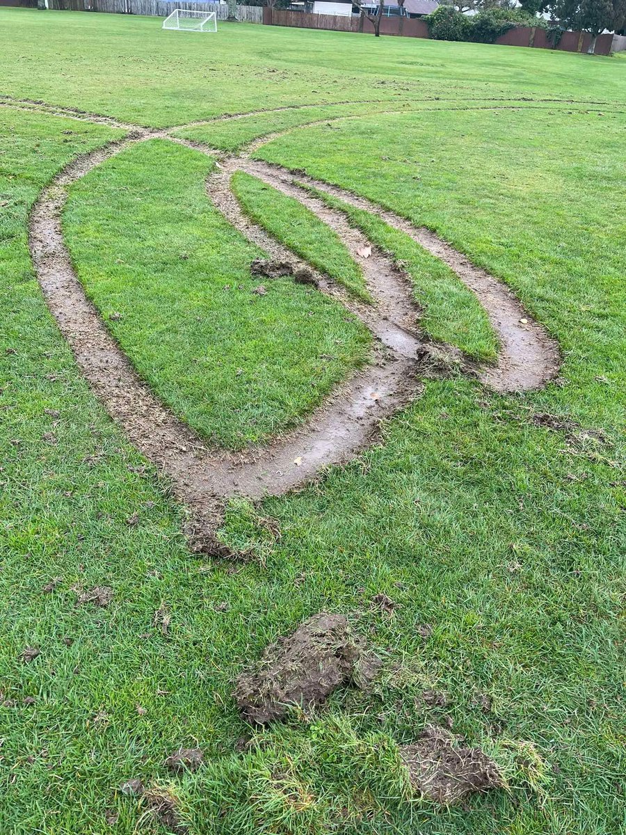 Hamilton Wanderers tweet media