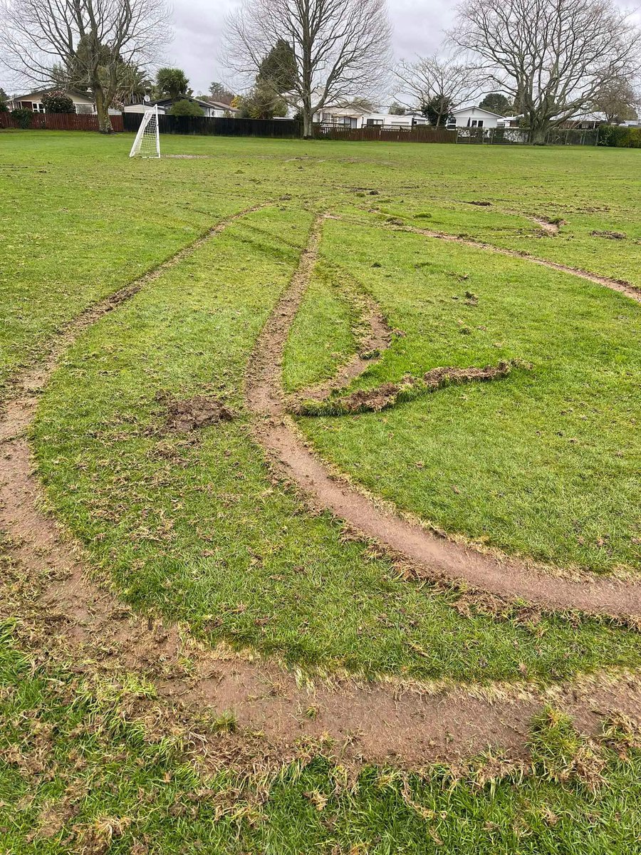 Hamilton Wanderers tweet media