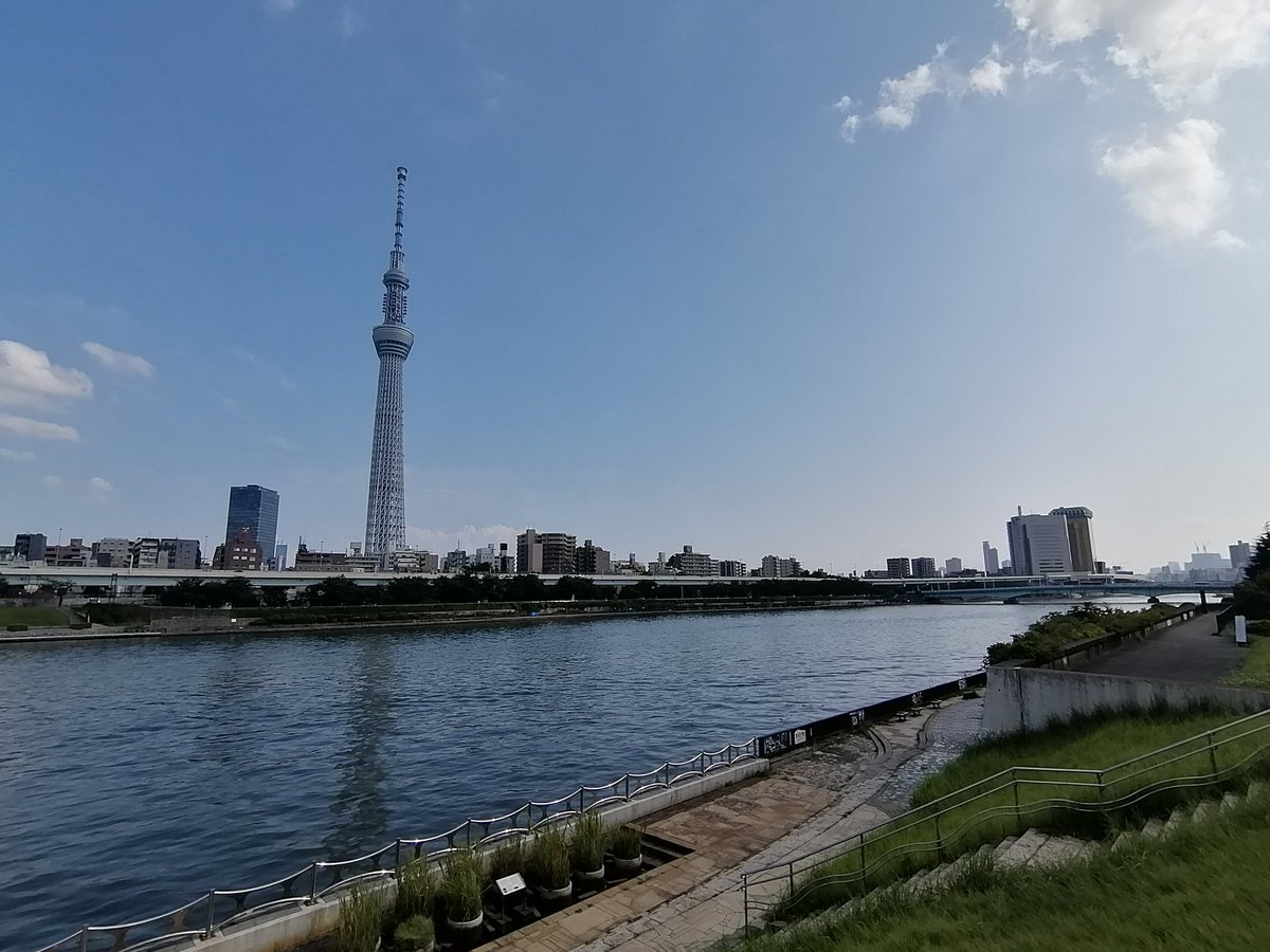 Yaeken7's tweet image. #視察中

本日は、新たな土地を求めて色々視察中なんですが…コレはもはや観光だな😂