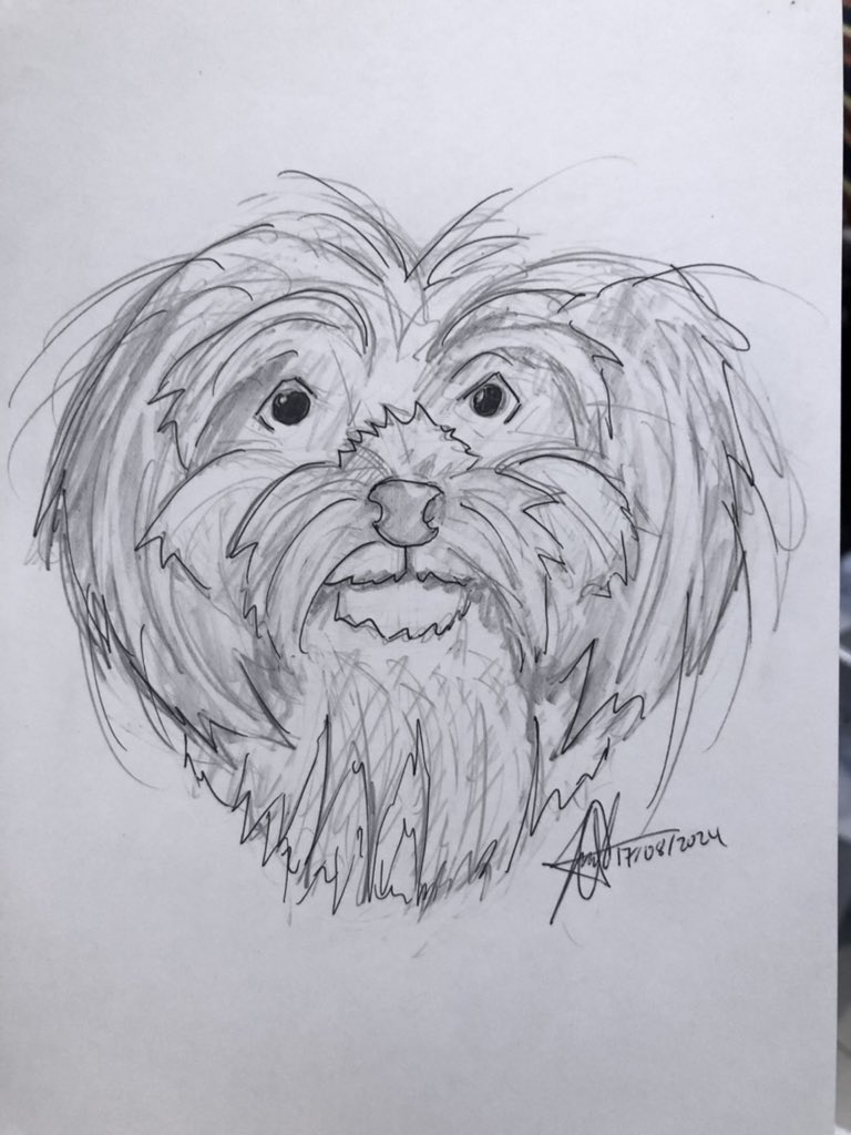 wolfiebro123's tweet photo. Waiting for the owners who commissioned me during Day 1 to receive the finished sketches 😮 

Pet’s name is Poppy and Mowgli. 

#PatronsoftheArts #dogs https://t.co/WPCvXzATLA