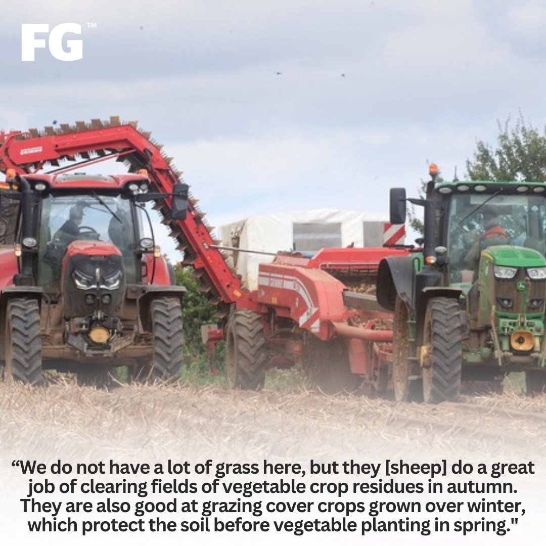 Born and raised on a dairy farm in mid Devon, Tim Pratt arrived at Wantisden Hall Farm, near Woodbridge in the far east of England 18 years ago for a summer job and stayed. 🐑 🥕🥔

Find out more 🔗 farmersguardian.com/feature/434280…