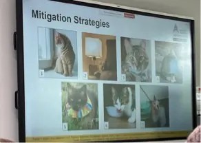 Feline Anthrozoology and Cat Scientists!: The post Feline Anthrozoology and Cat Scientists! appeared first on Katzenworld - Welcome to the world of cats!. 

Discover the latest in feline research from the ISAZ 2024 Conference with… dlvr.it/TC3Lj8 via <a href="/kattavinir/">kattavinir</a>