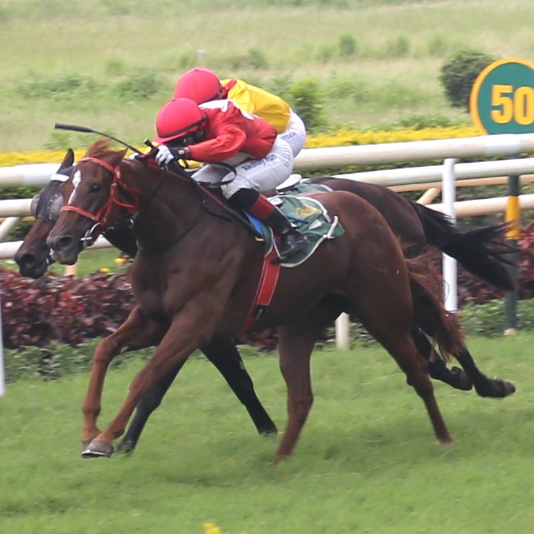 indiaracedotcom's tweet photo. Congratulations to Field of Dreams for winning the F D Wadia Trophy (Gr.3)

Trainer - Dallas Todywalla
Jockey - Akshay Kumar https://t.co/Jsezt4uCjb