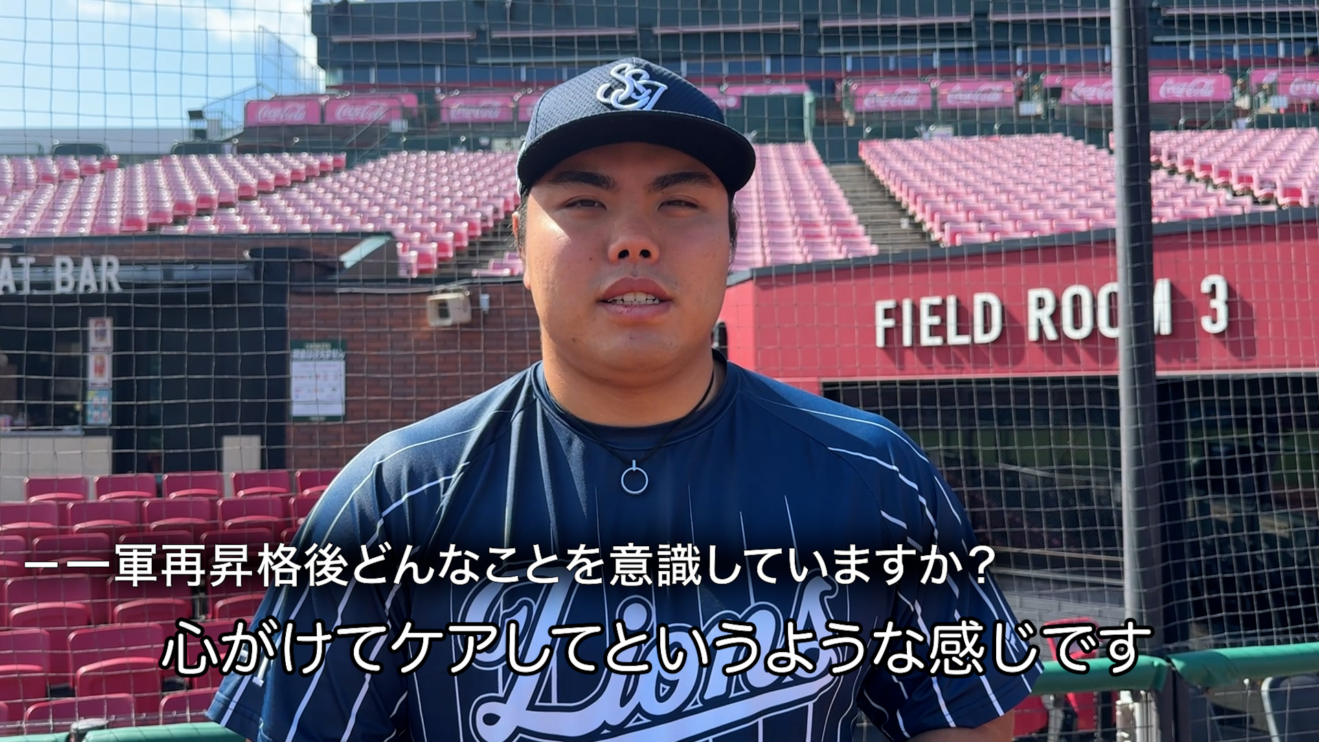 【交渉OK】埼玉西武ライオンズピンバッジ2015 コンプリート 交渉OK】埼玉西武ライオンズピンバッジ2015 コンプリート 交渉OK