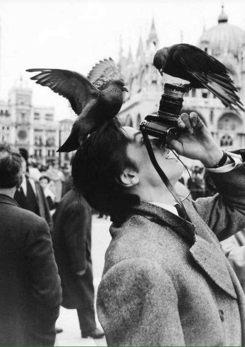 Alain Delon
Iconique