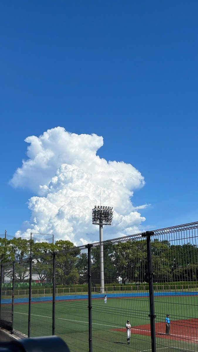 🫨かさごEX🫨 (@4ksg4) on Twitter photo 