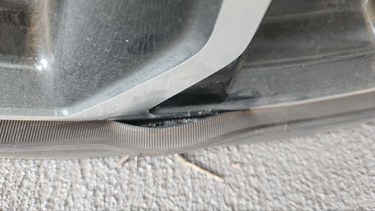 🦋jes.thedogsbreakfast.live☁️ tweet media