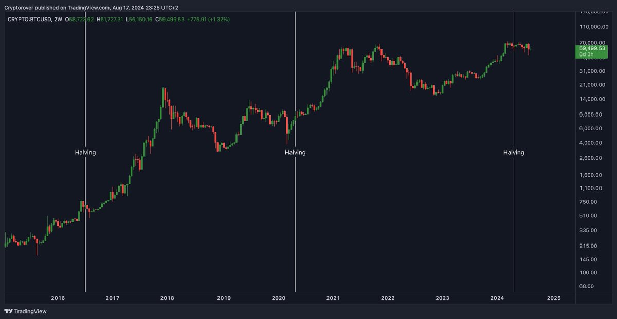Crypto Rover tweet media