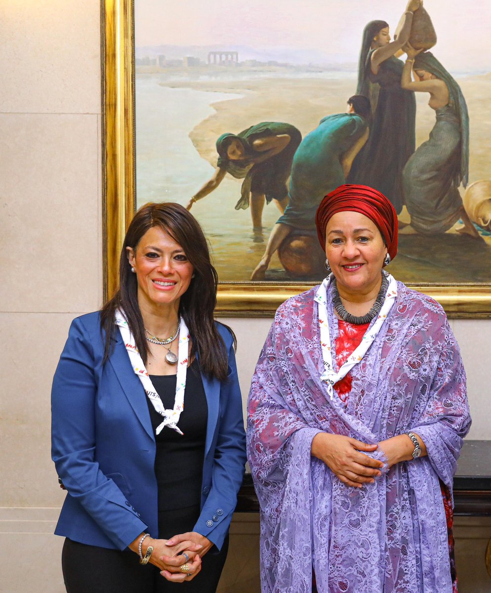 Ministry of Foreign Affairs of Egypt tweet media